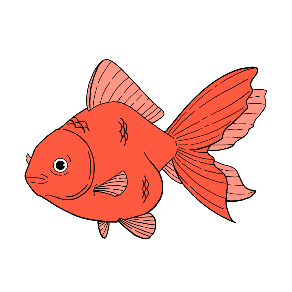 金魚（赤色）のイラスト