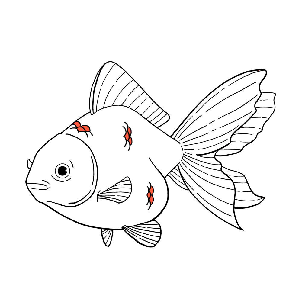 金魚（白色）のイラスト