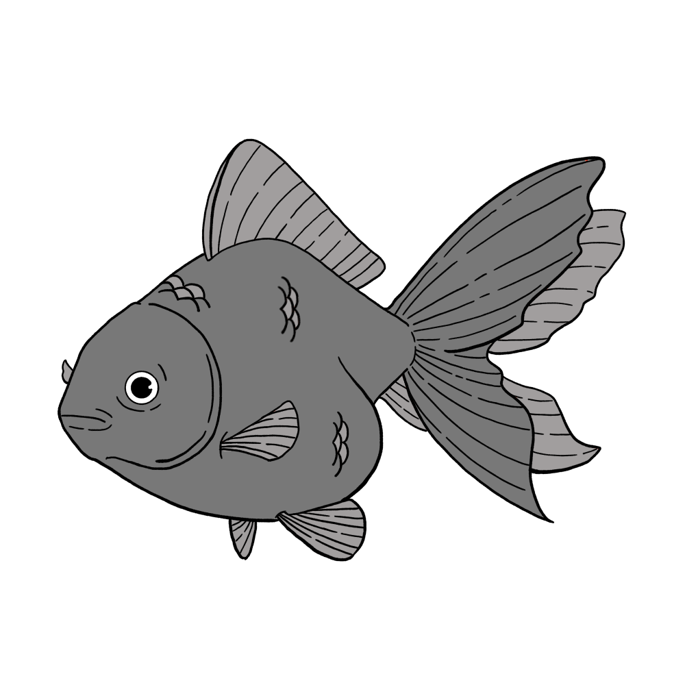金魚（黒色）のイラスト